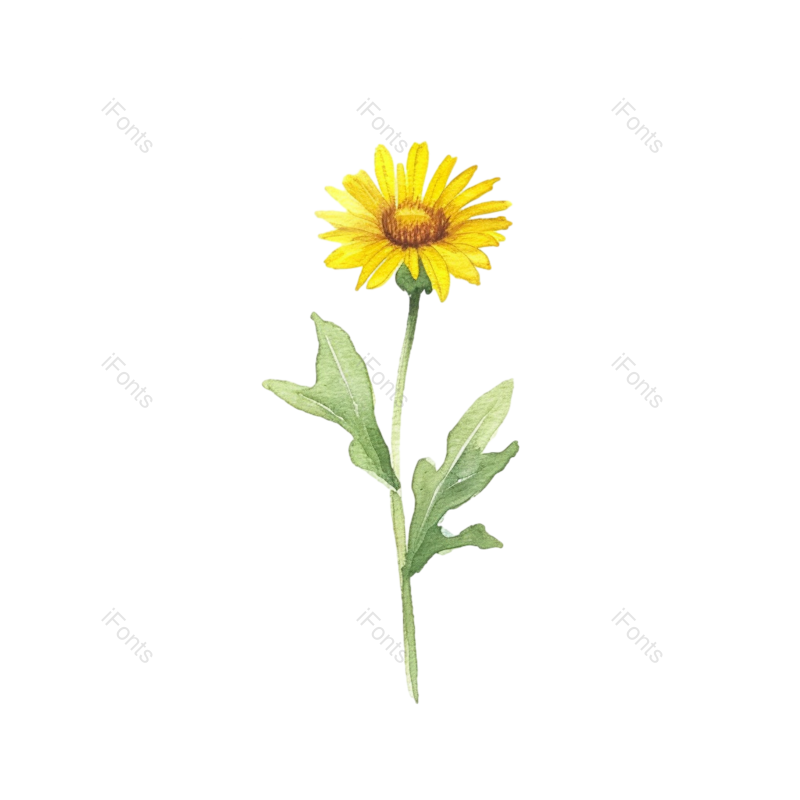装饰图片,向日葵手绘元素,花卉PNG,花草免抠素材